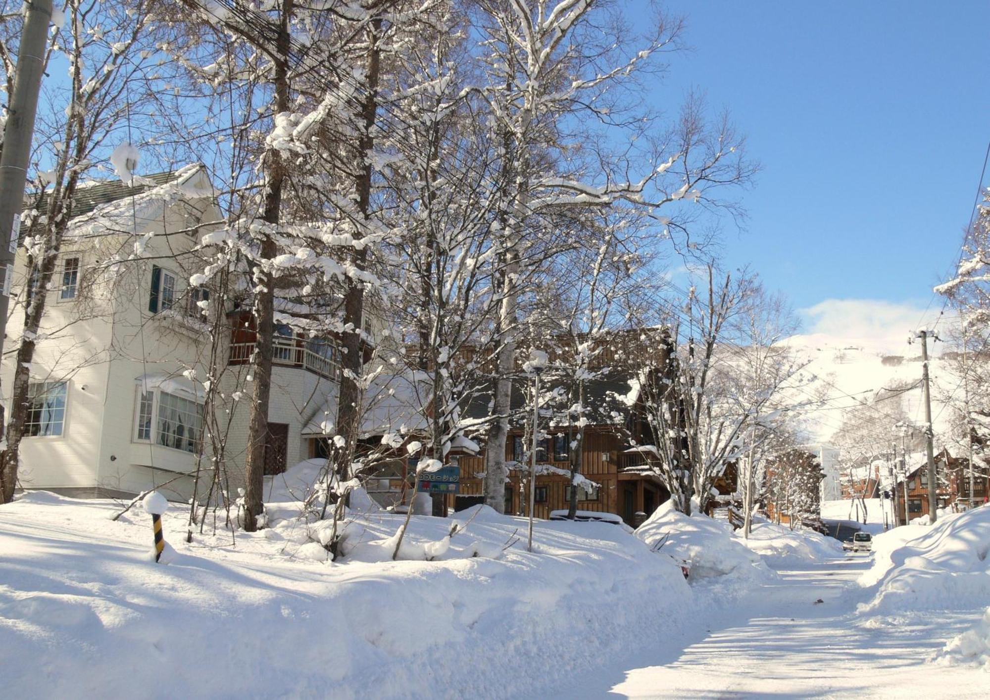 倶知安町 ペンションロコモーション Bed & Breakfast エクステリア 写真
